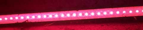 LED lights